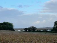 VUE MARAIS MER